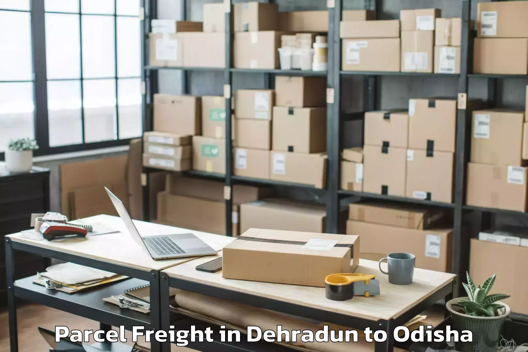 Leading Dehradun to Komna Parcel Freight Provider